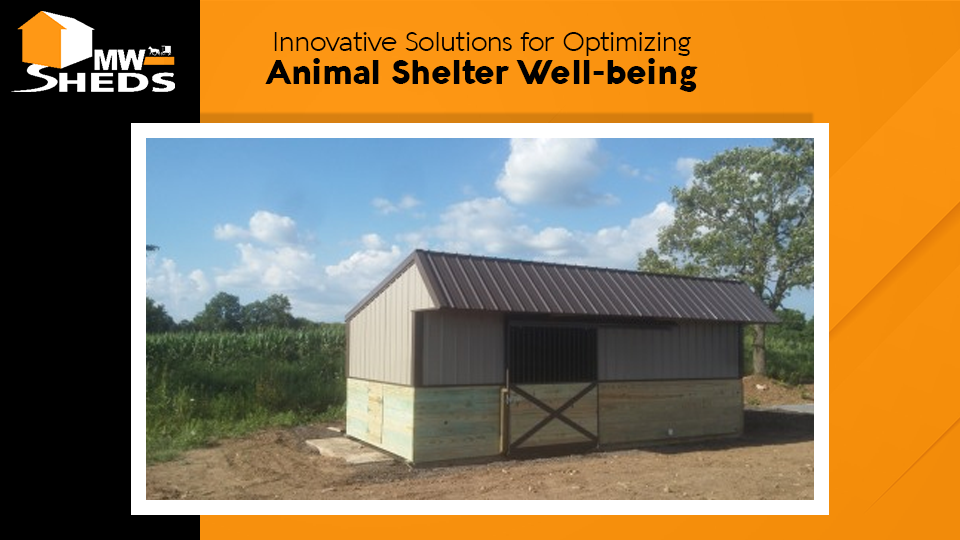 Animal Shelters shed Kewaskum