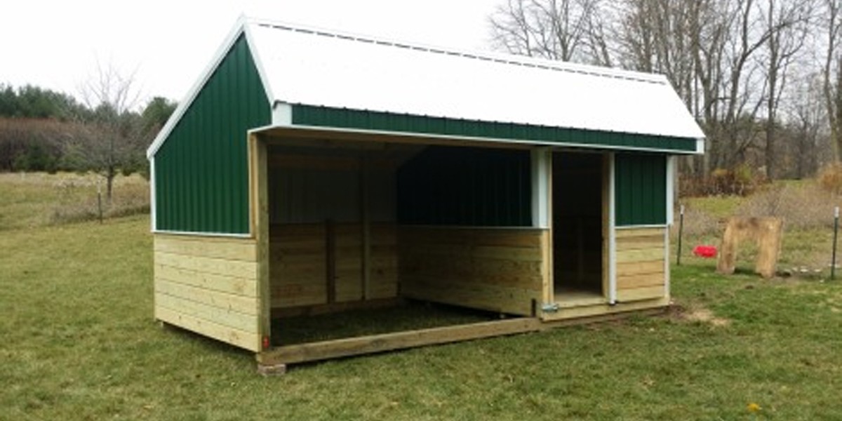 Simple Upgrades to Make Your Animal Shelter Shed More Functional