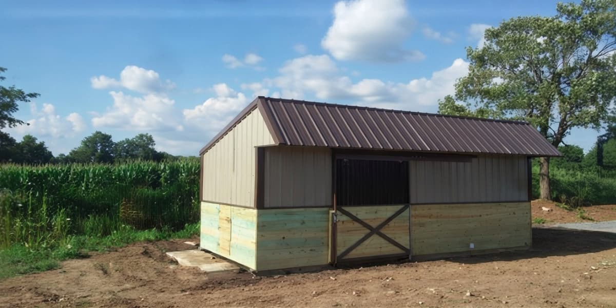 Everyday Uses of Horse Shelter Sheds Beyond Weather Protection